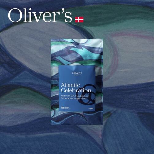 Atlantic Celebration