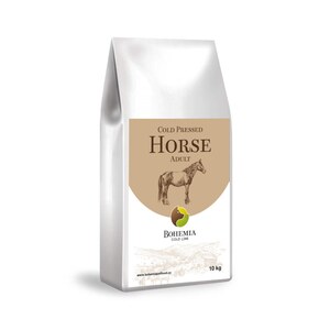 BOHEMIA COLD Adult Horse