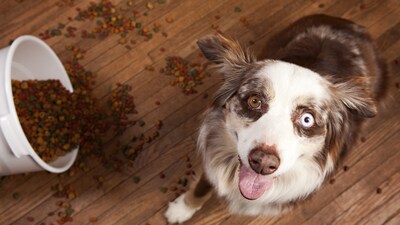 7+ tipů, jak správně skladovat krmivo