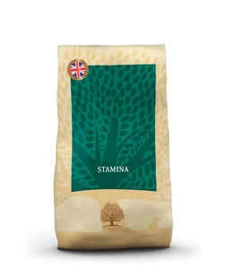 ESSENTIAL FOODS Stamina 10 kg